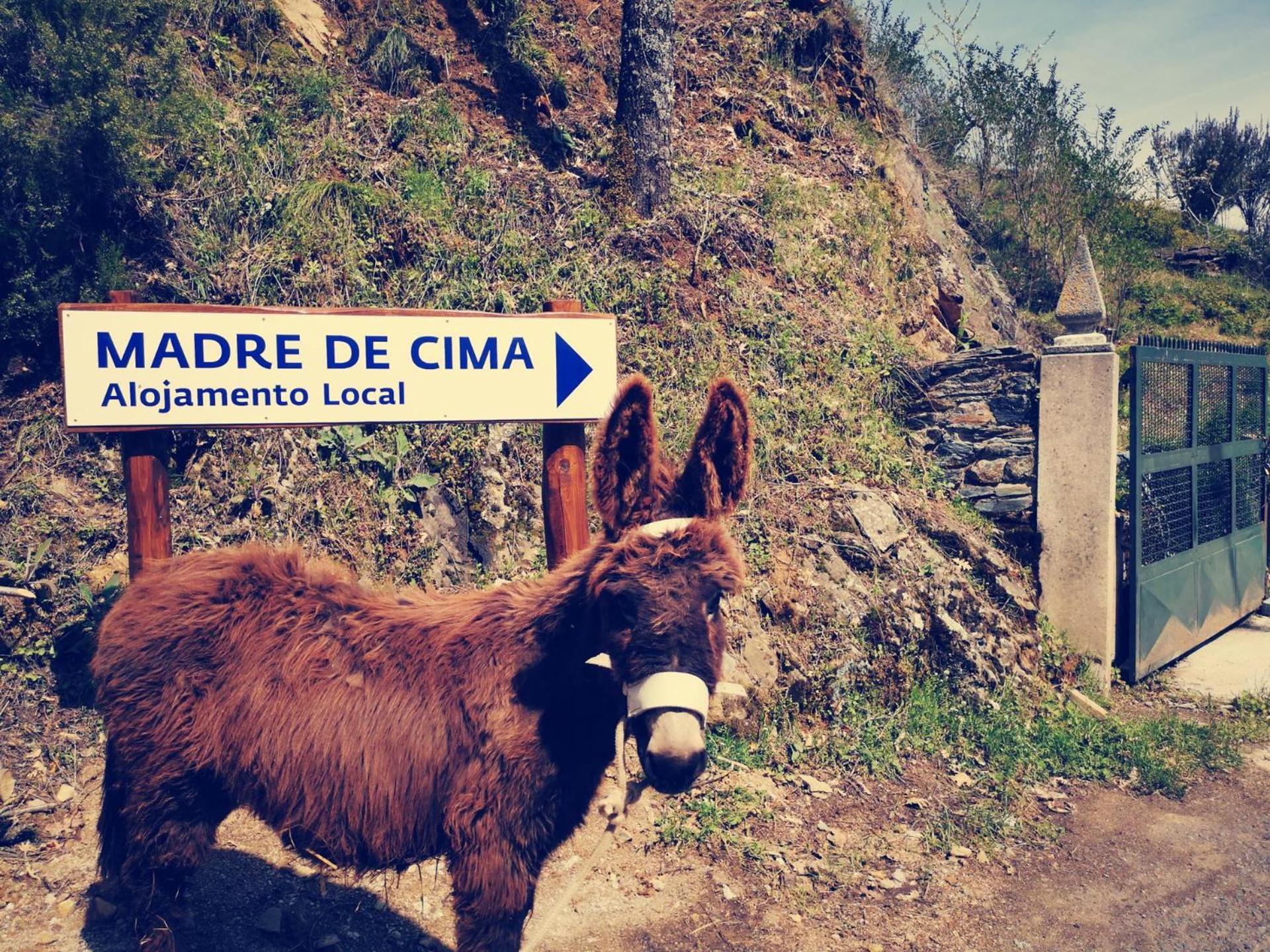 Alojamento Local Madre De Cima Vinhais Exterior foto